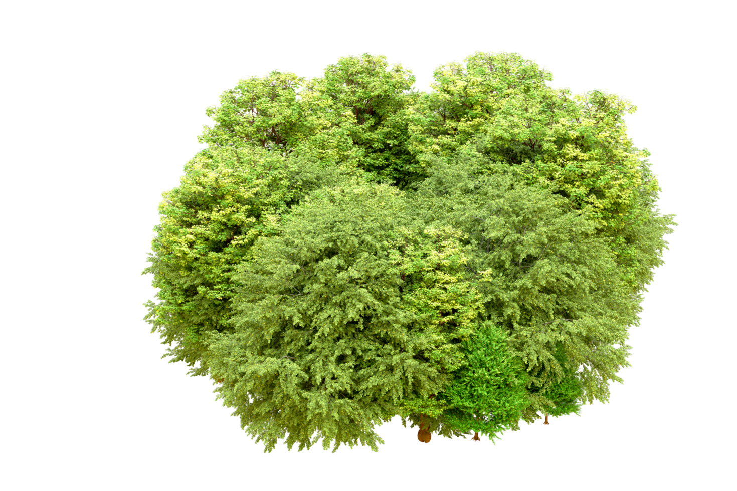 Green forest isolated on background. 3d rendering - illustration png