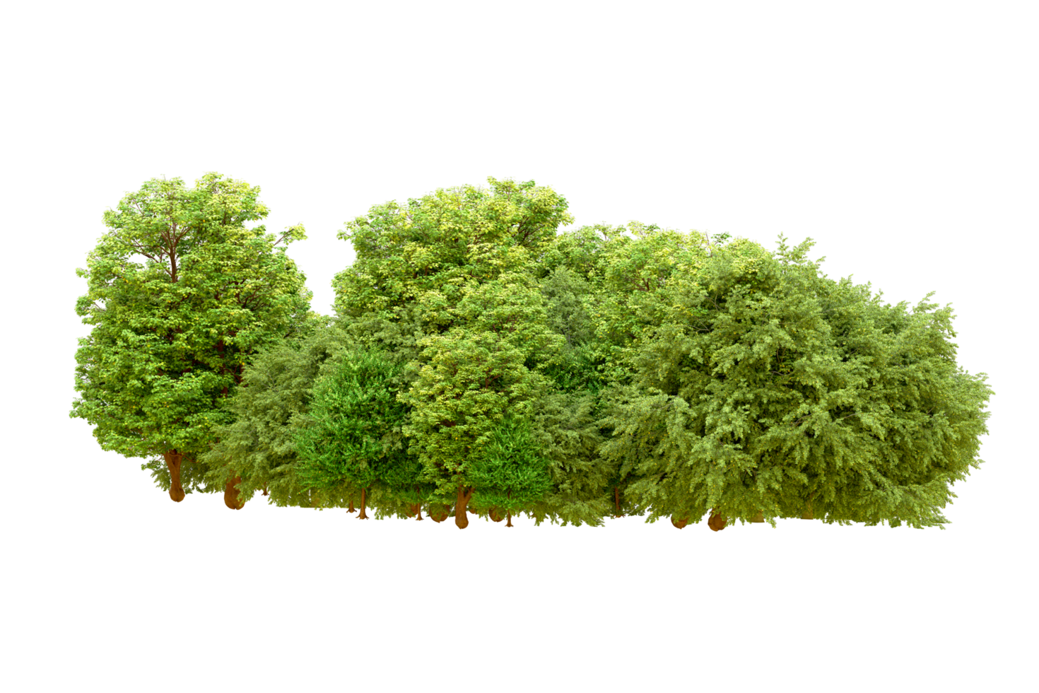 Green forest isolated on background. 3d rendering - illustration png