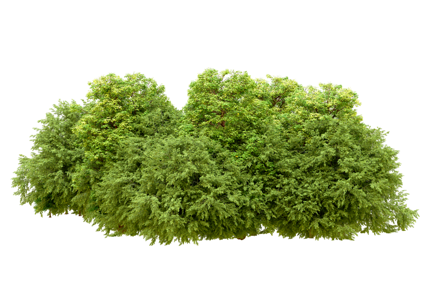 Green forest isolated on background. 3d rendering - illustration png