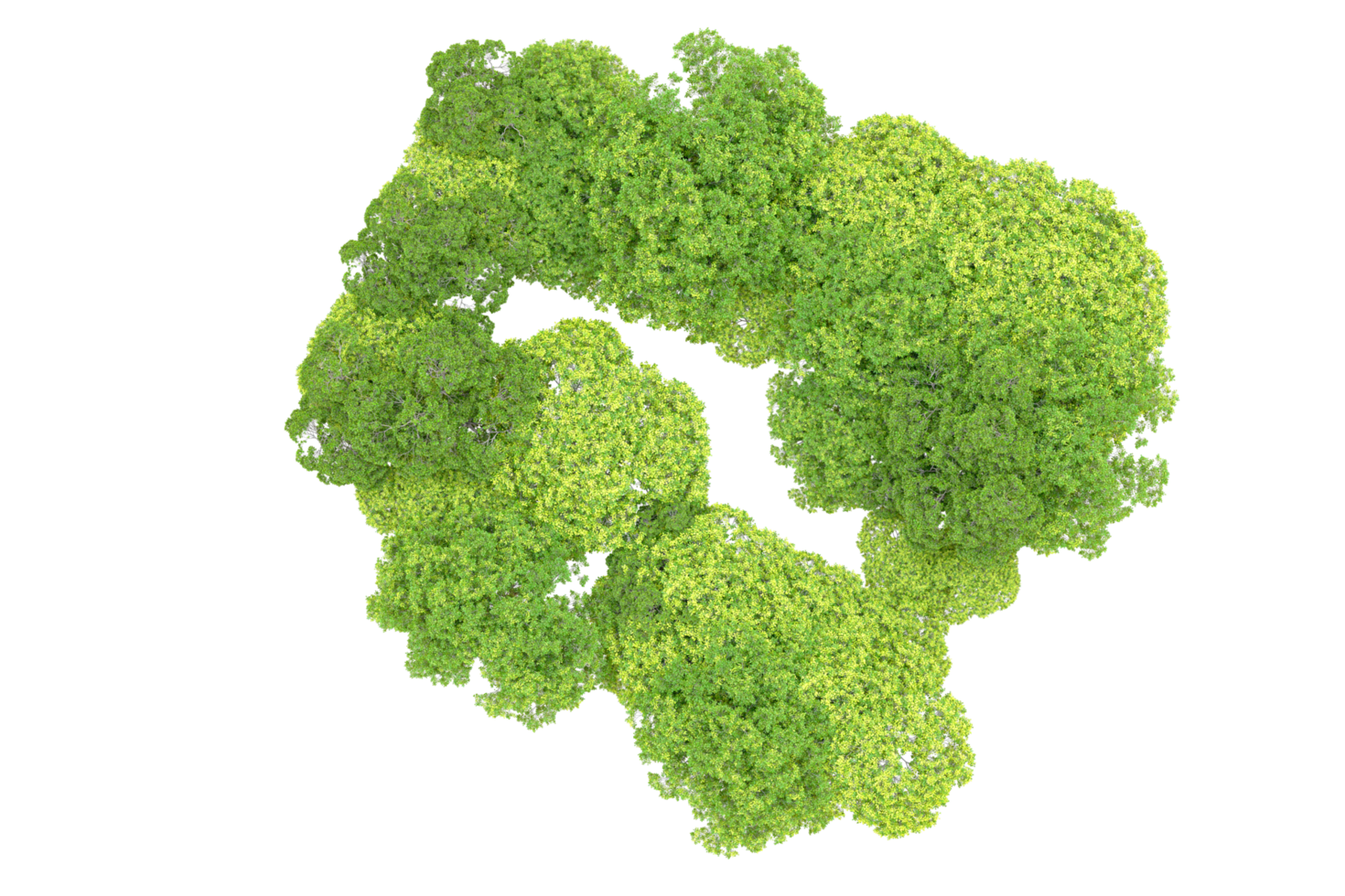 Green forest isolated on background. 3d rendering - illustration png