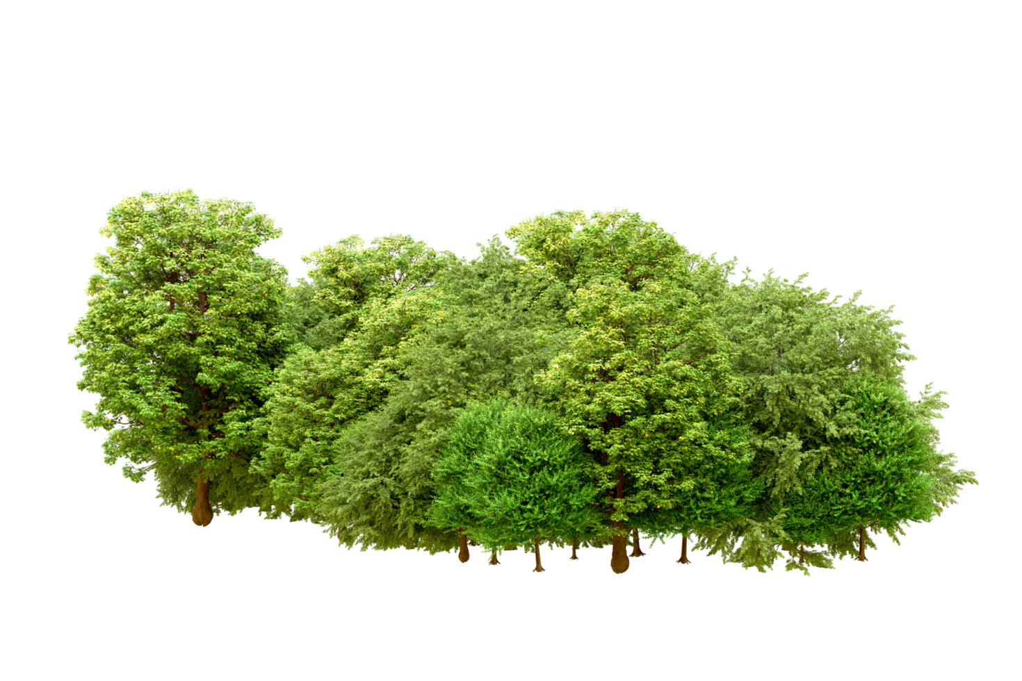 Green forest isolated on background. 3d rendering - illustration png