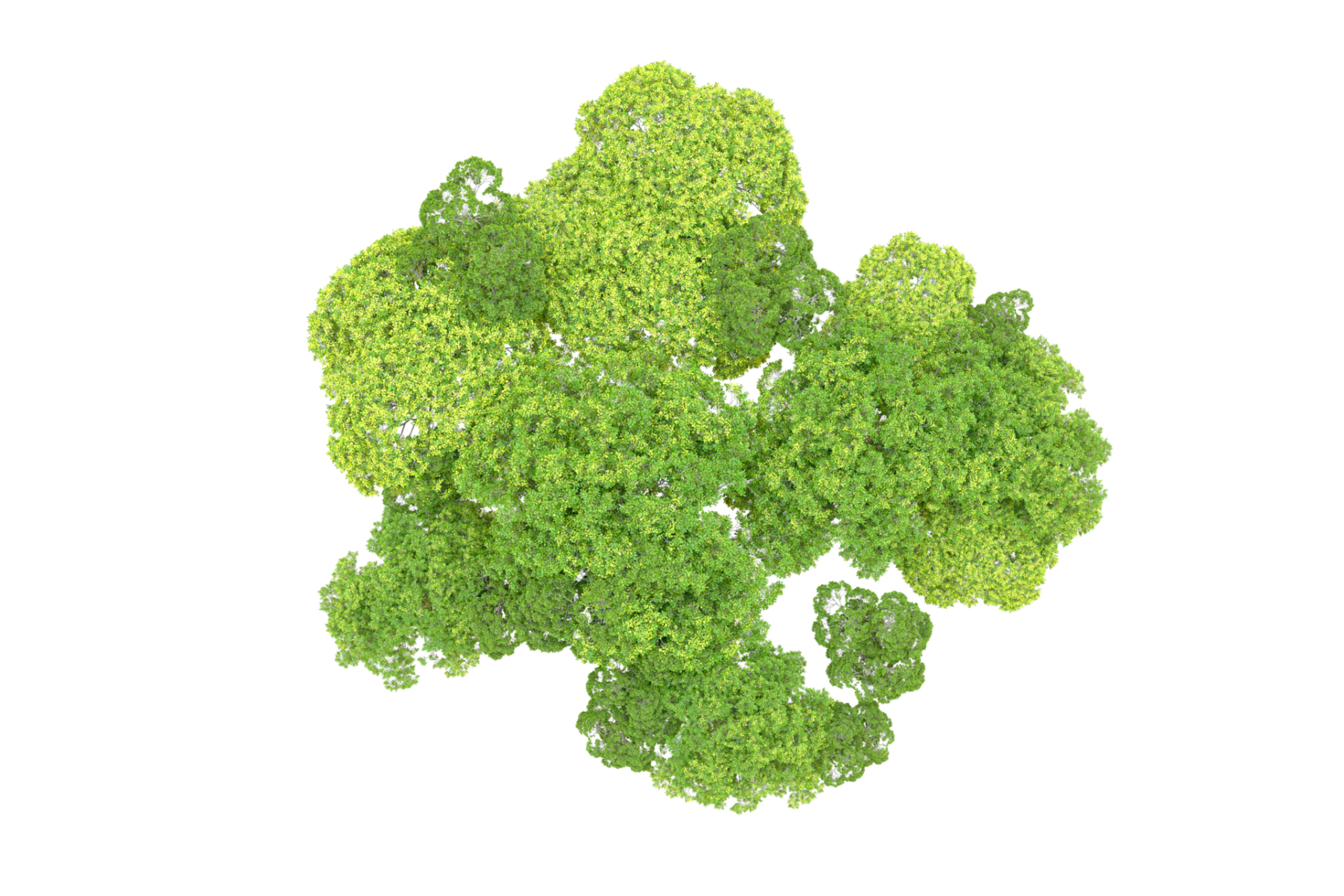 Green forest isolated on background. 3d rendering - illustration png