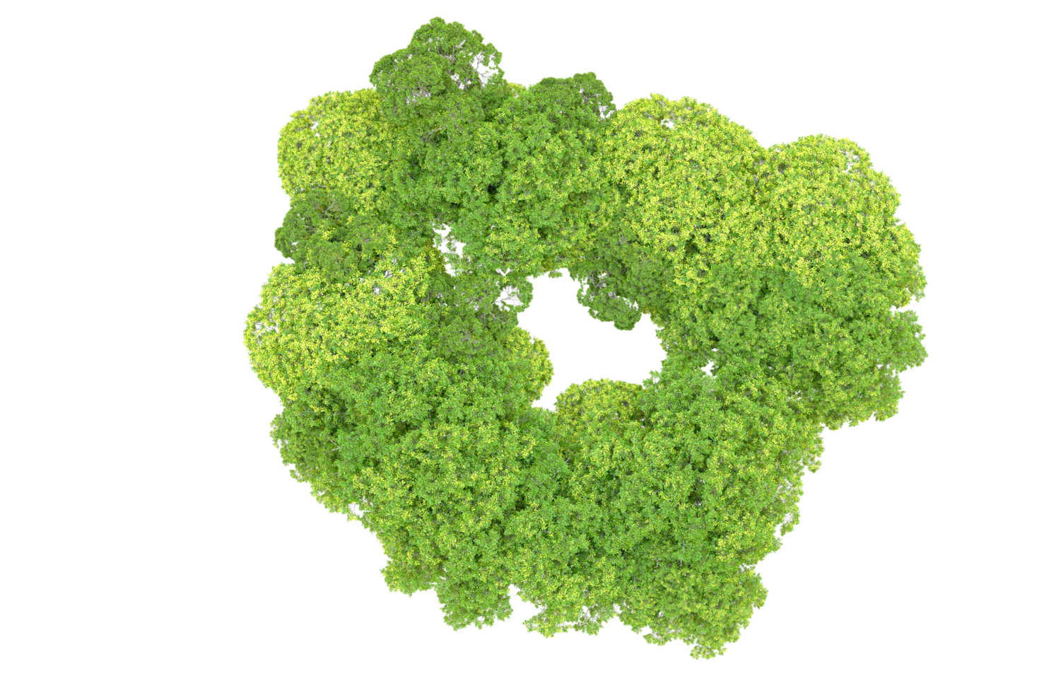 Green forest isolated on background. 3d rendering - illustration png