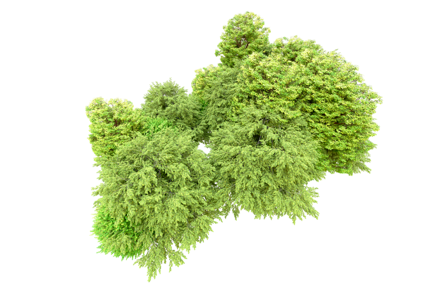 Green forest isolated on background. 3d rendering - illustration png