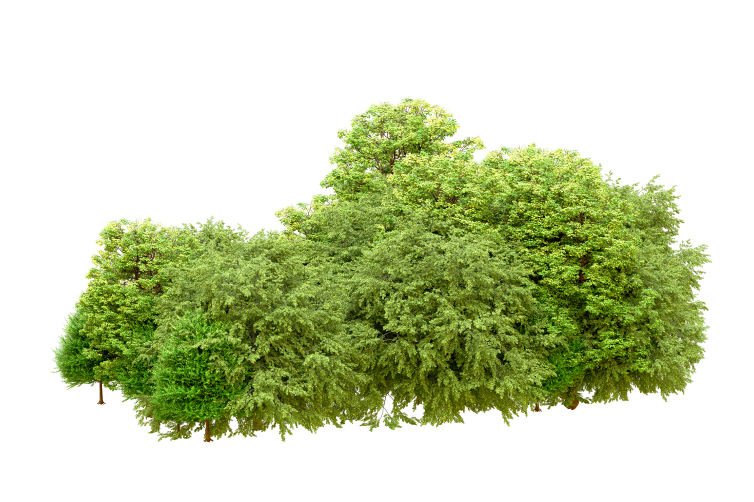 Green forest isolated on background. 3d rendering - illustration png
