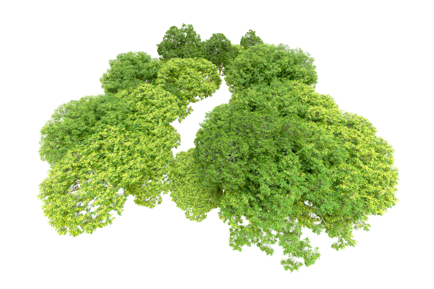 Green forest isolated on background. 3d rendering - illustration png