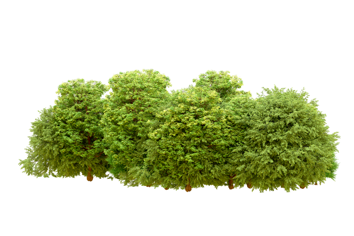Green forest isolated on background. 3d rendering - illustration png