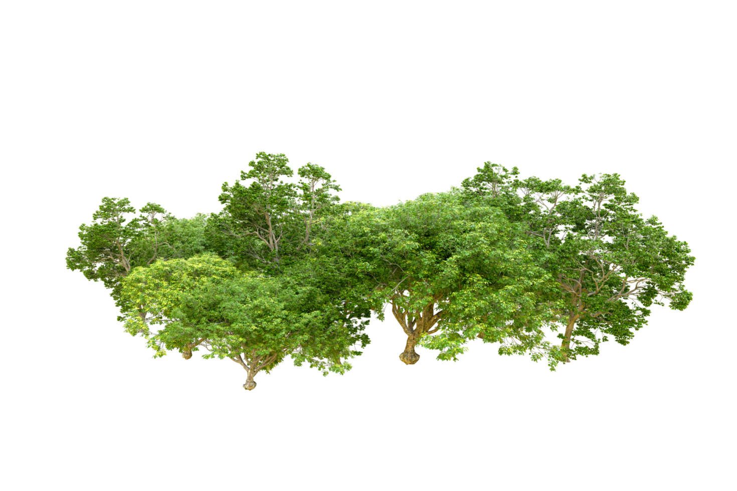 Green forest isolated on background. 3d rendering - illustration png