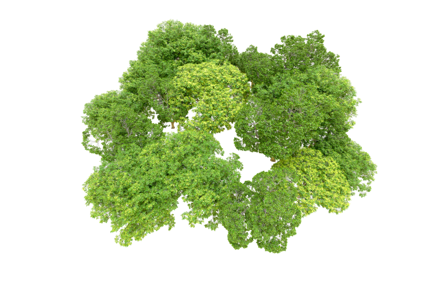 Green forest isolated on background. 3d rendering - illustration png