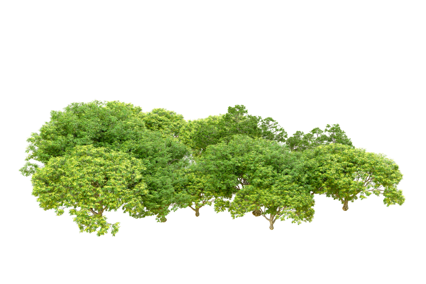 Green forest isolated on background. 3d rendering - illustration png