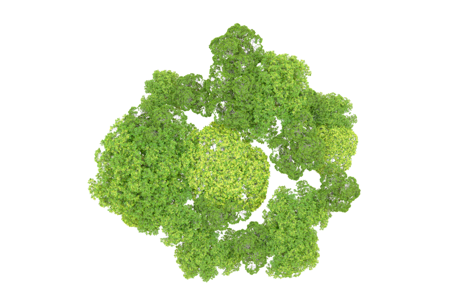Green forest isolated on background. 3d rendering - illustration png