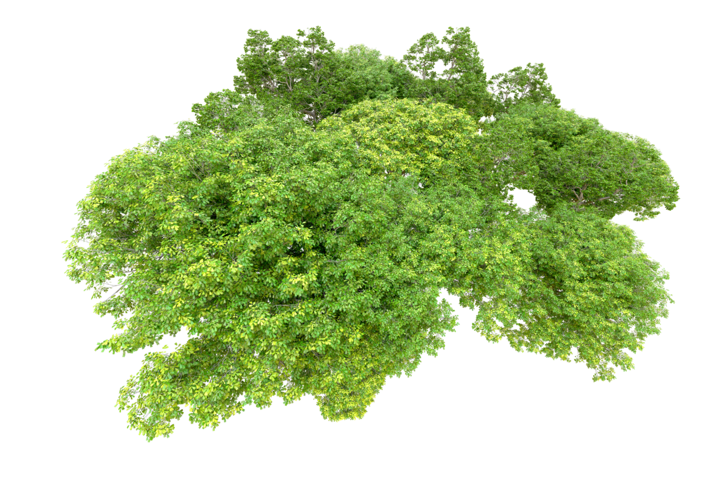 Green forest isolated on background. 3d rendering - illustration png