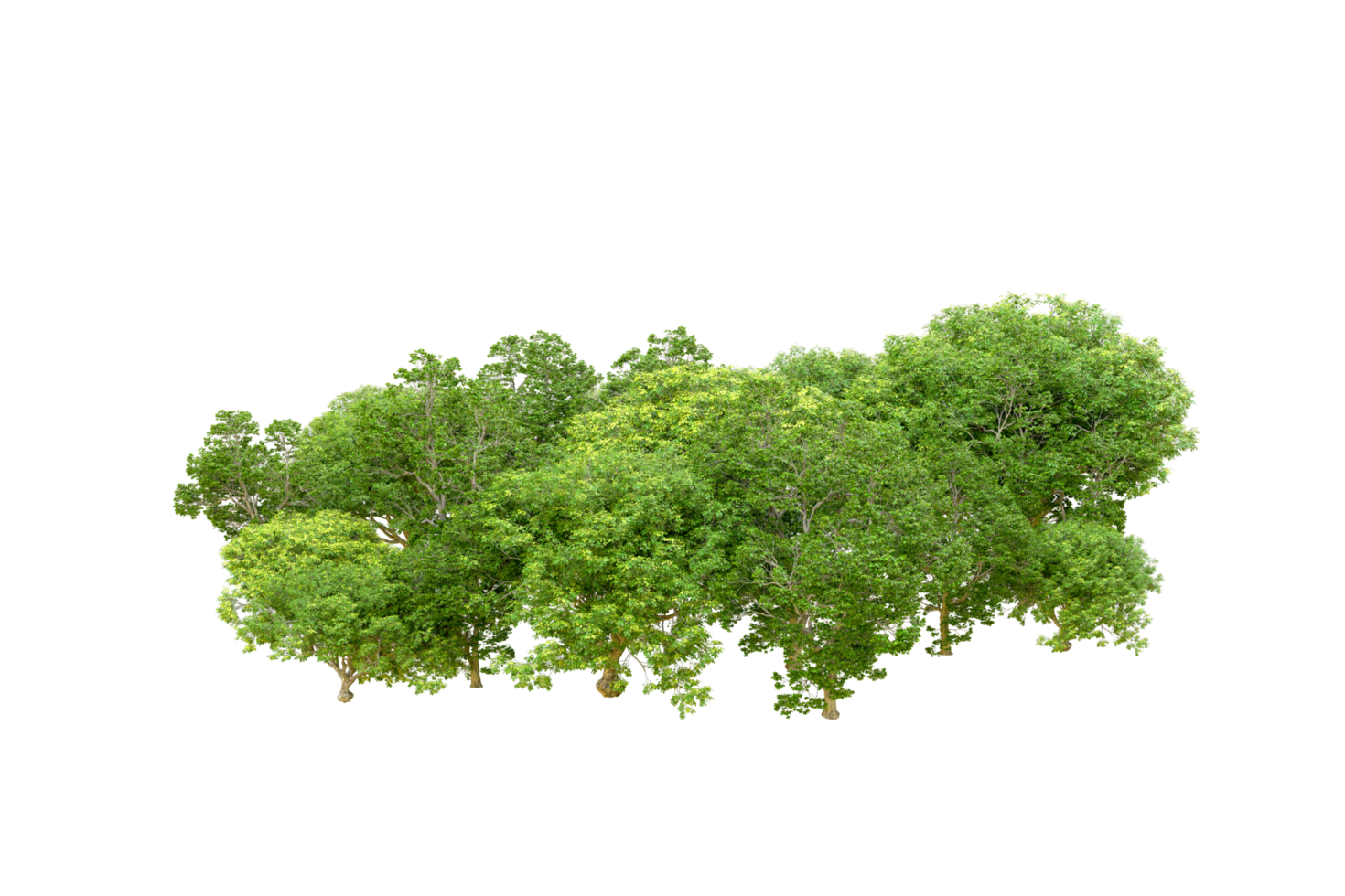 Green forest isolated on background. 3d rendering - illustration png