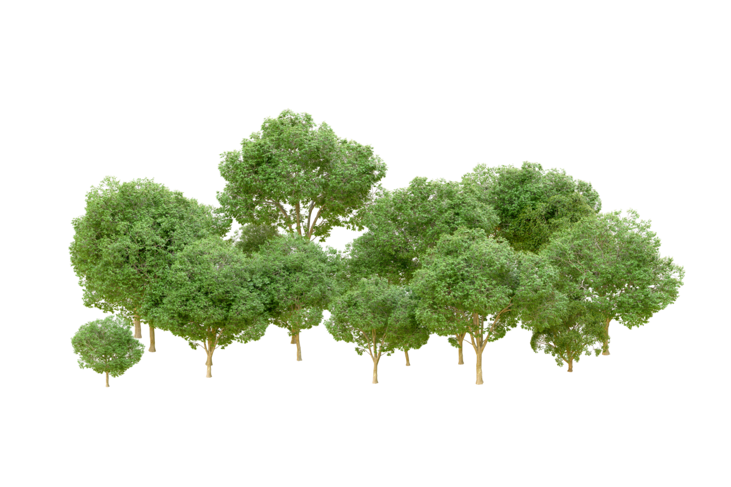 Grün Wald isoliert auf Hintergrund. 3d Rendern - - Illustration png