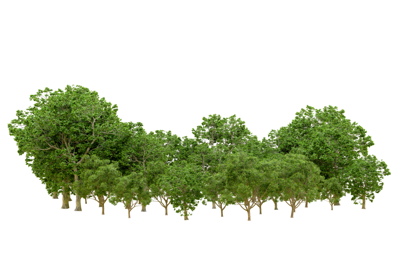 Green forest isolated on background. 3d rendering - illustration png