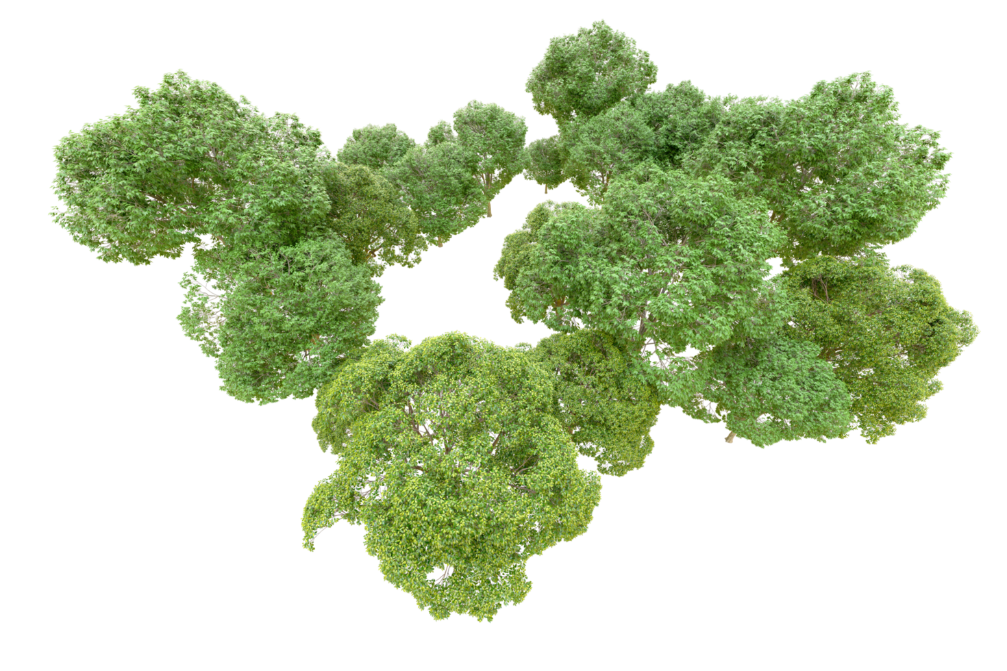 Green forest isolated on background. 3d rendering - illustration png
