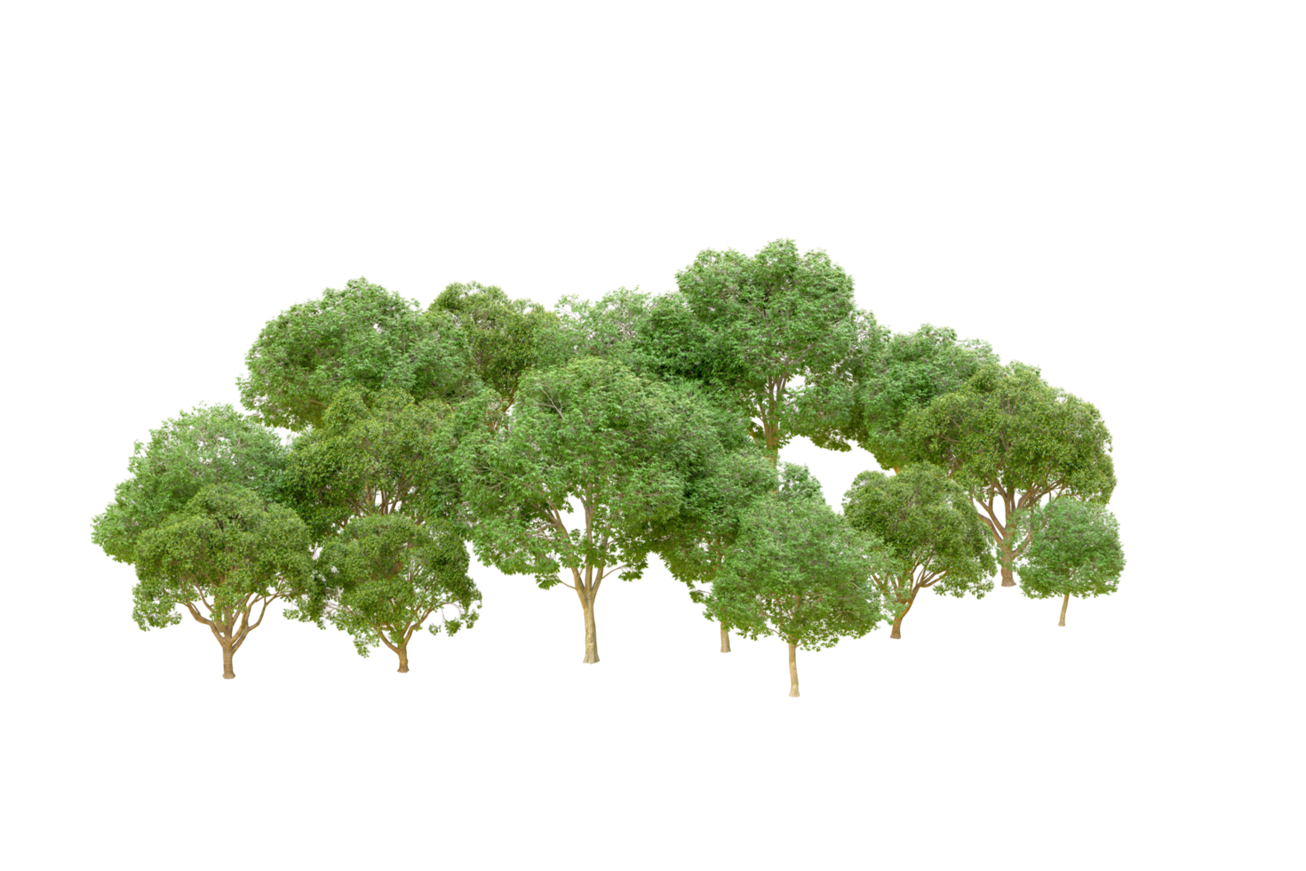 Grün Wald isoliert auf Hintergrund. 3d Rendern - - Illustration png