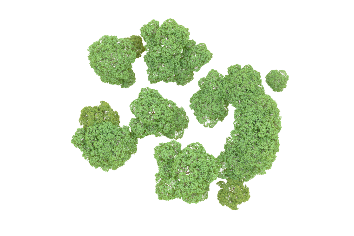 Green forest isolated on background. 3d rendering - illustration png