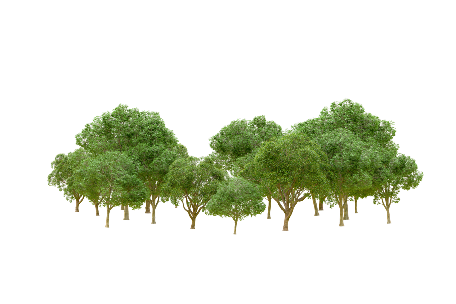 Grün Wald isoliert auf Hintergrund. 3d Rendern - - Illustration png