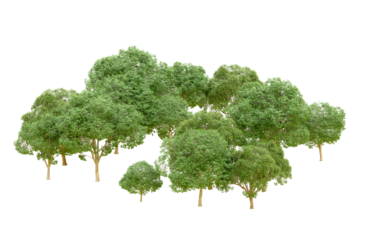 vert forêt isolé sur Contexte. 3d le rendu - illustration png