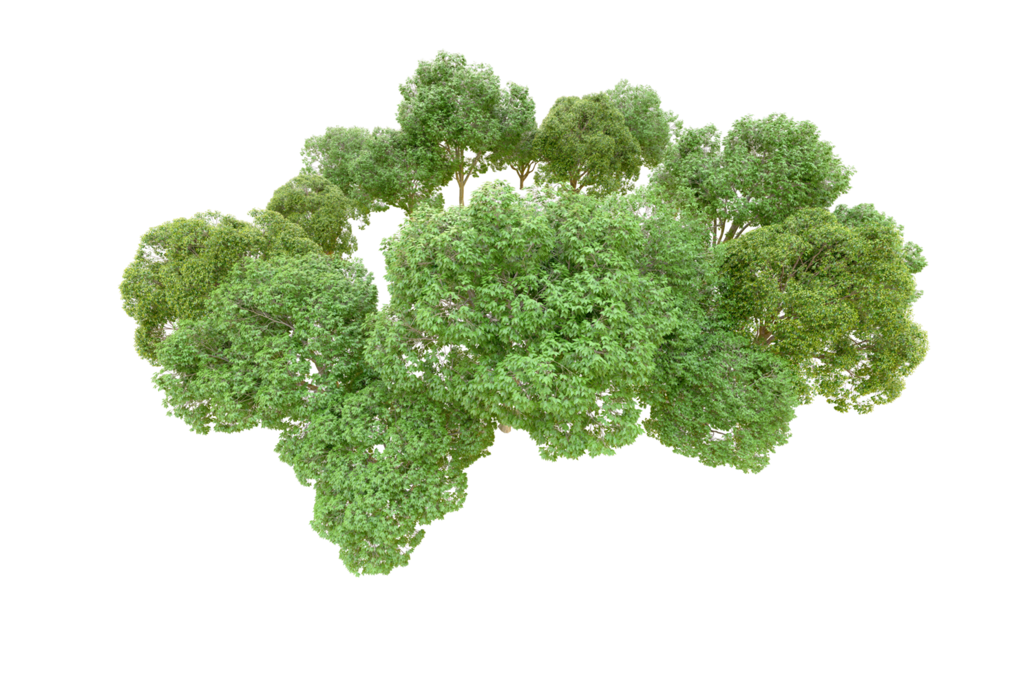Green forest isolated on background. 3d rendering - illustration png