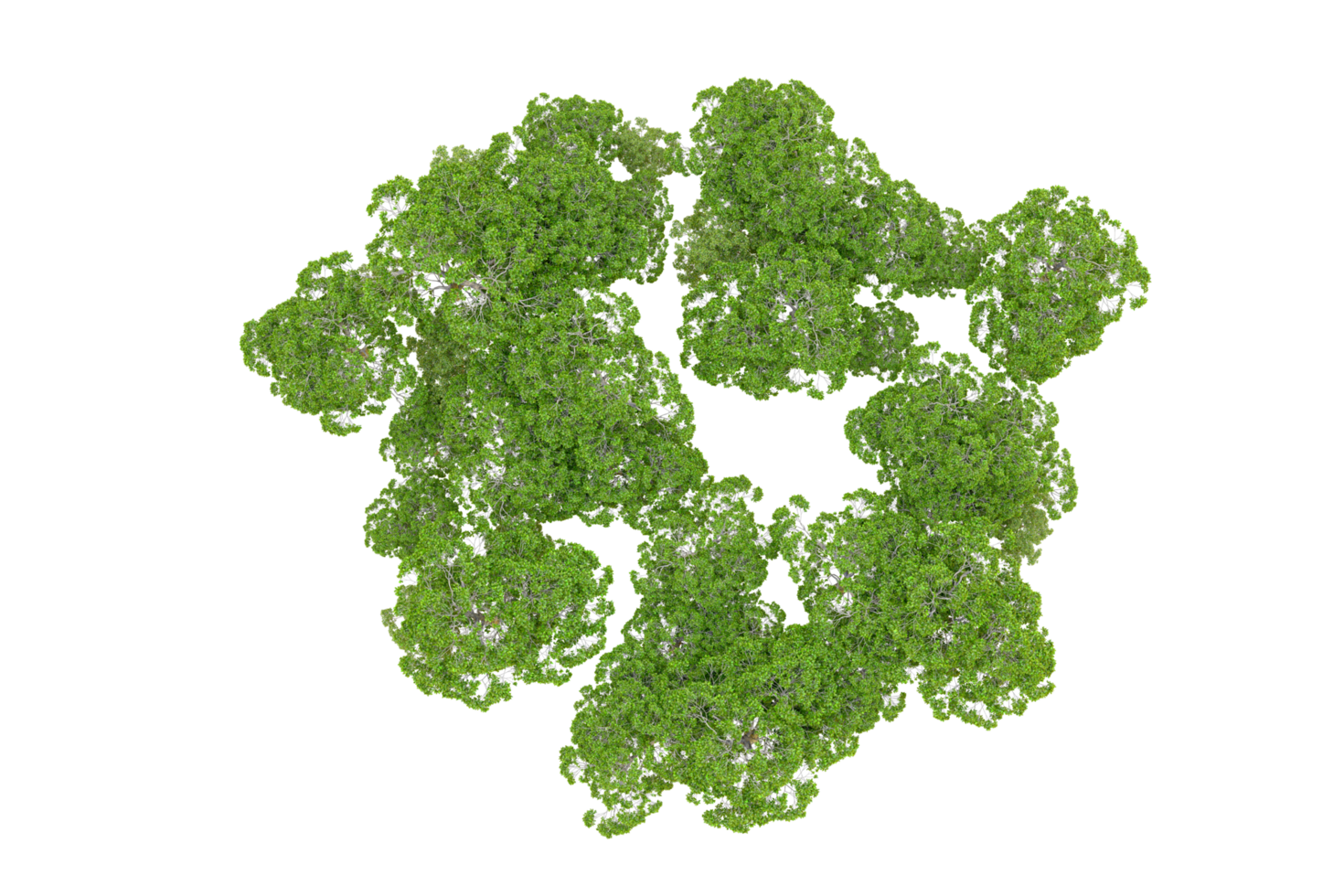 Green forest isolated on background. 3d rendering - illustration png