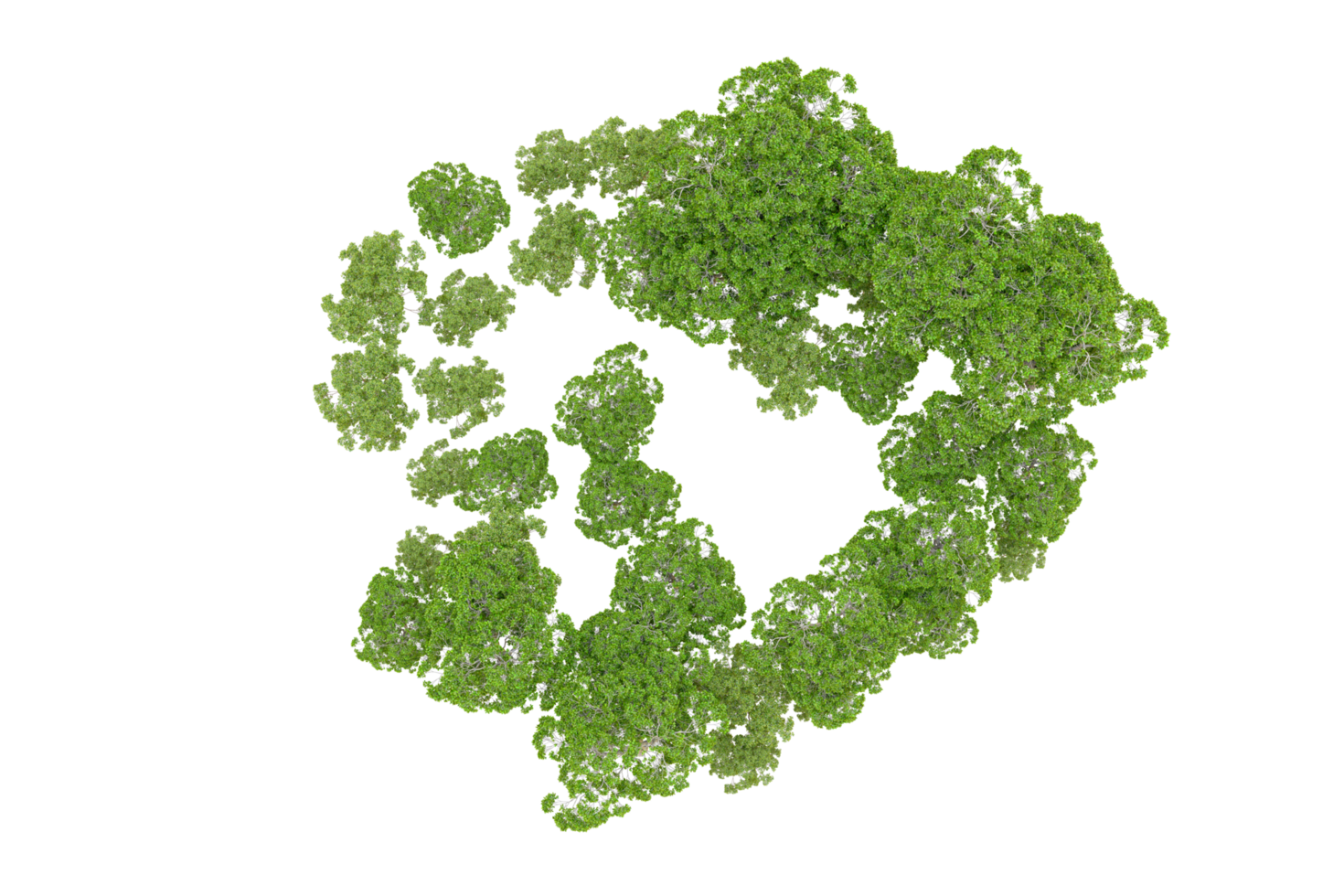 groen Woud geïsoleerd Aan achtergrond. 3d renderen - illustratie png