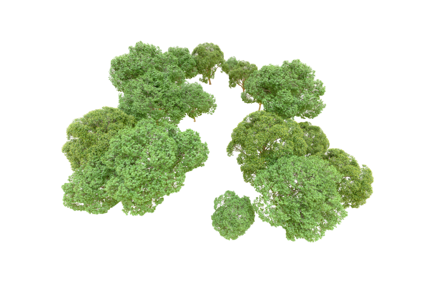 Green forest isolated on background. 3d rendering - illustration png