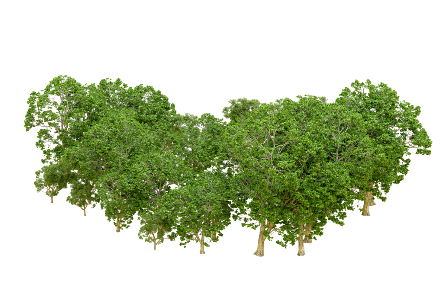 verde foresta isolato su sfondo. 3d interpretazione - illustrazione png