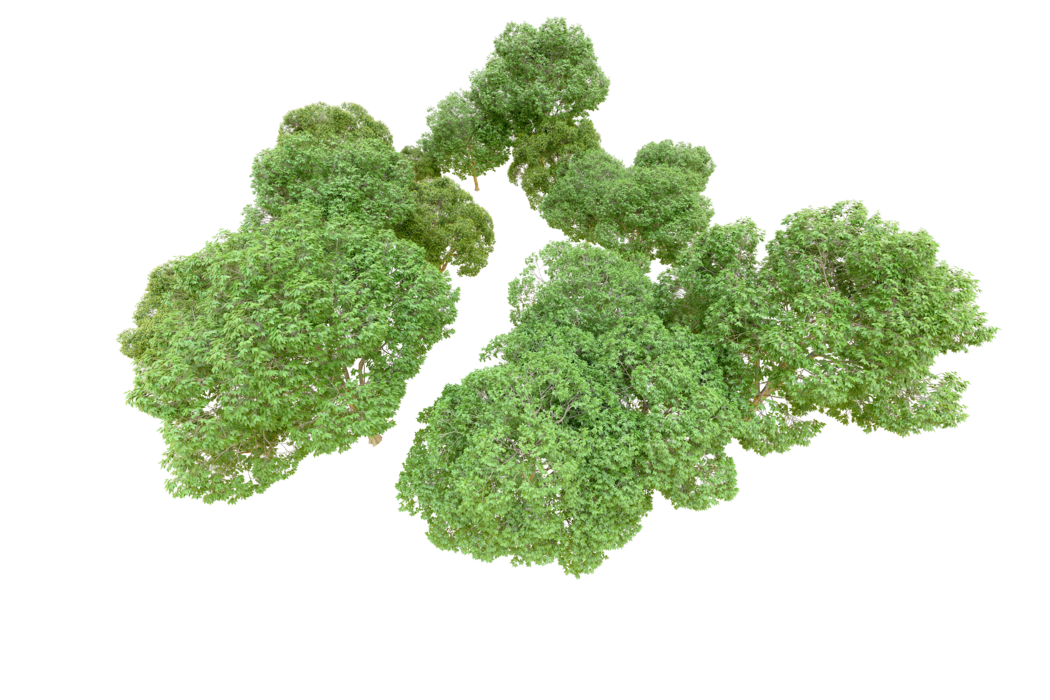 Green forest isolated on background. 3d rendering - illustration png