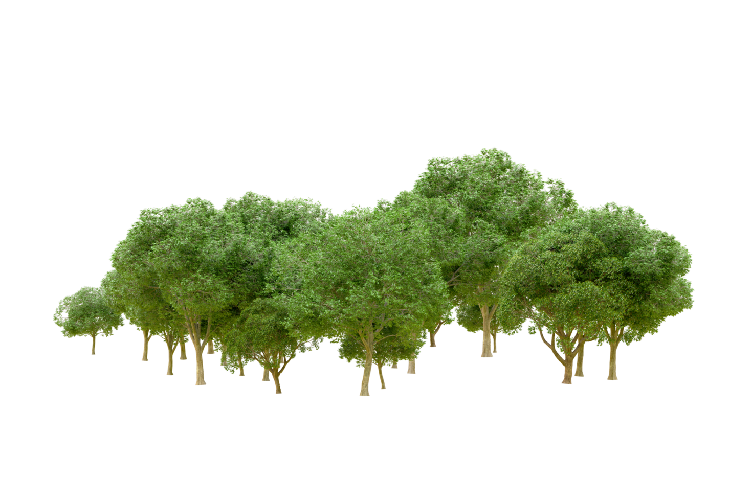 Green forest isolated on background. 3d rendering - illustration png