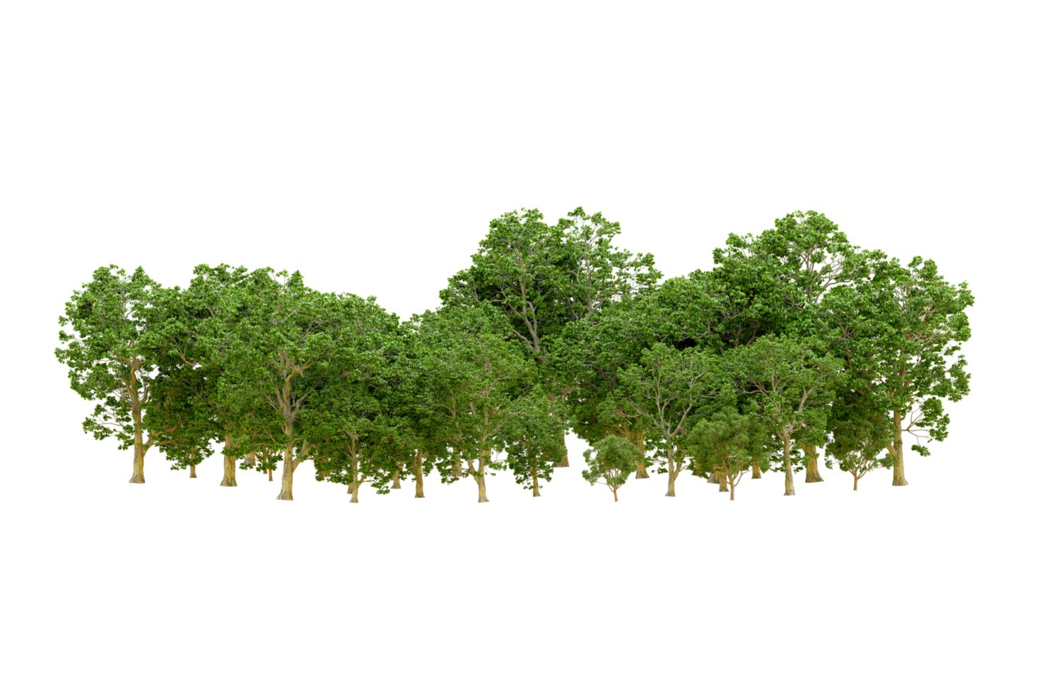 Green forest isolated on background. 3d rendering - illustration png