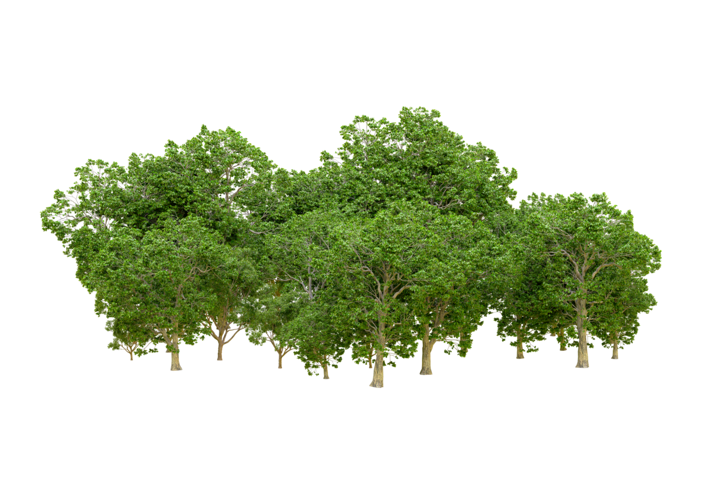 vert forêt isolé sur Contexte. 3d le rendu - illustration png