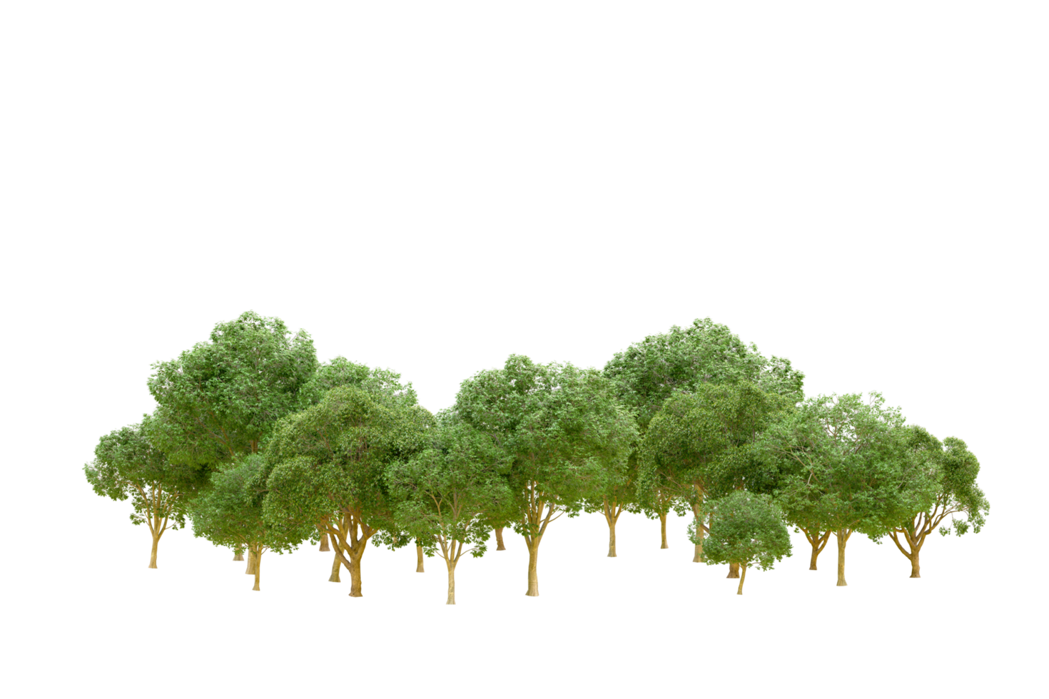Green forest isolated on background. 3d rendering - illustration png