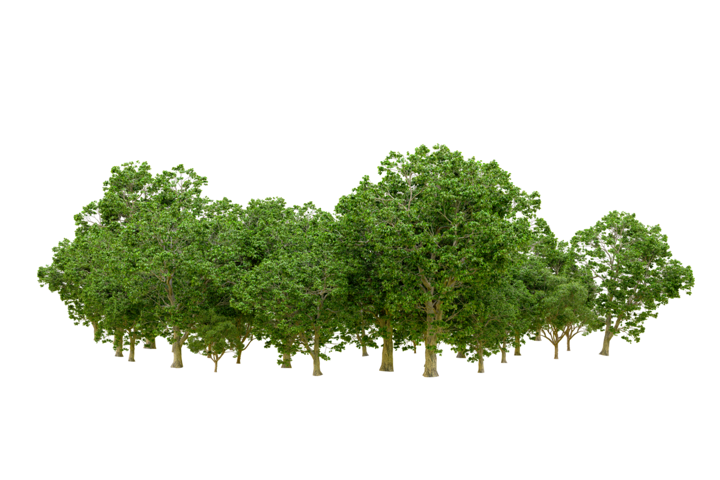 Green forest isolated on background. 3d rendering - illustration png