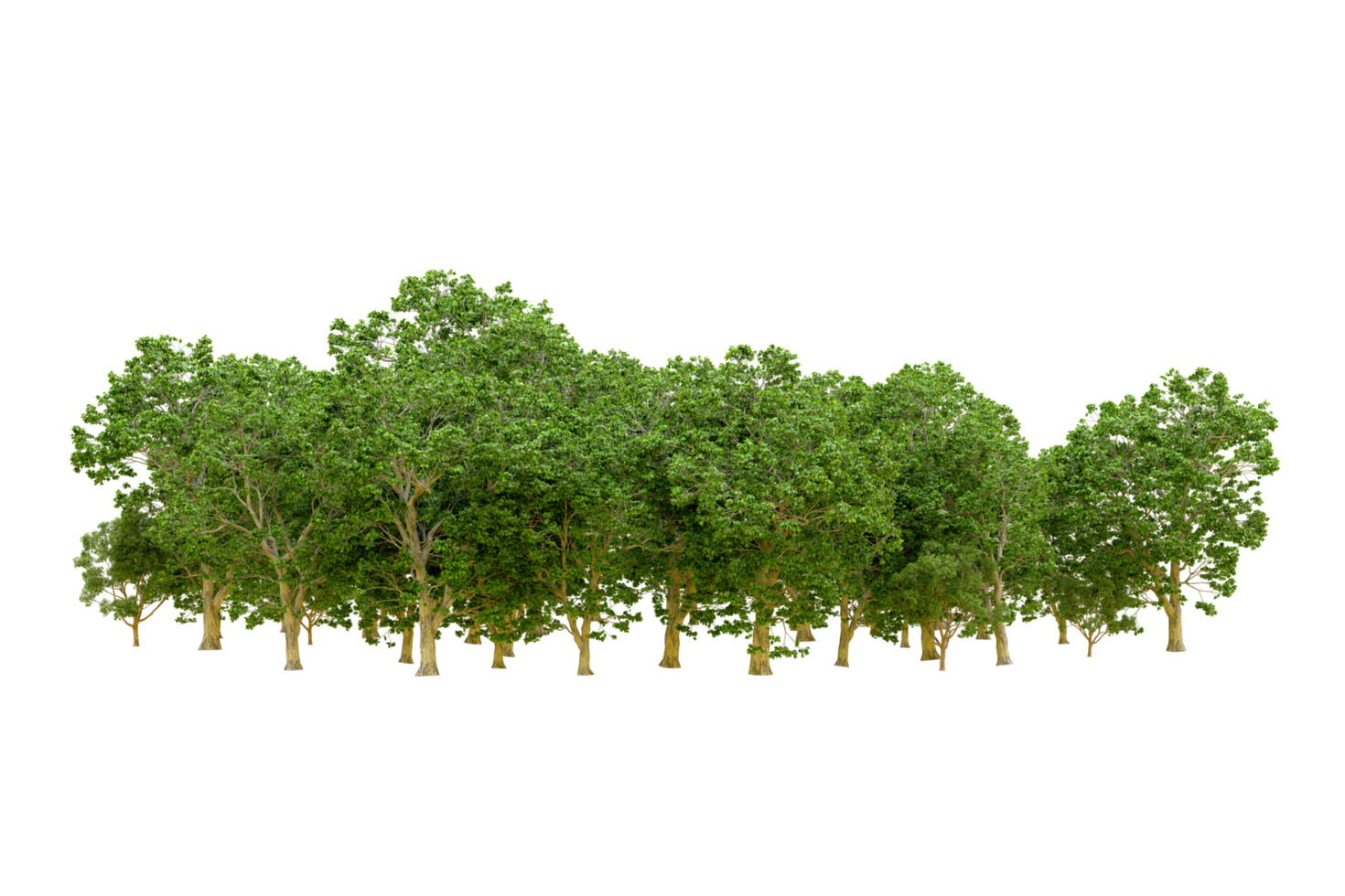 Green forest isolated on background. 3d rendering - illustration png
