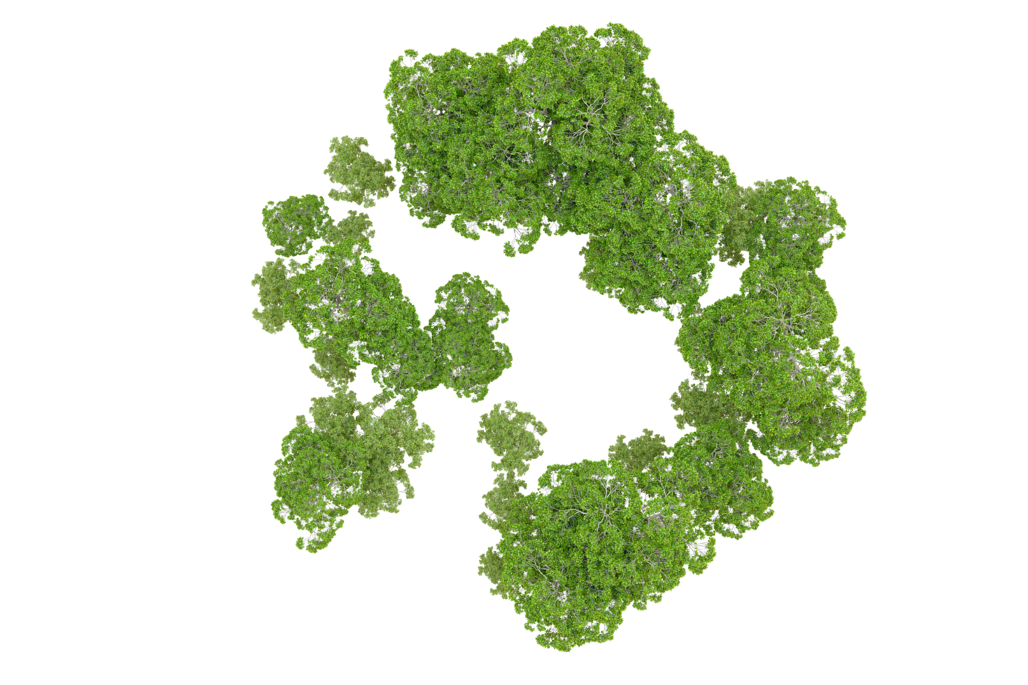 Green forest isolated on background. 3d rendering - illustration png