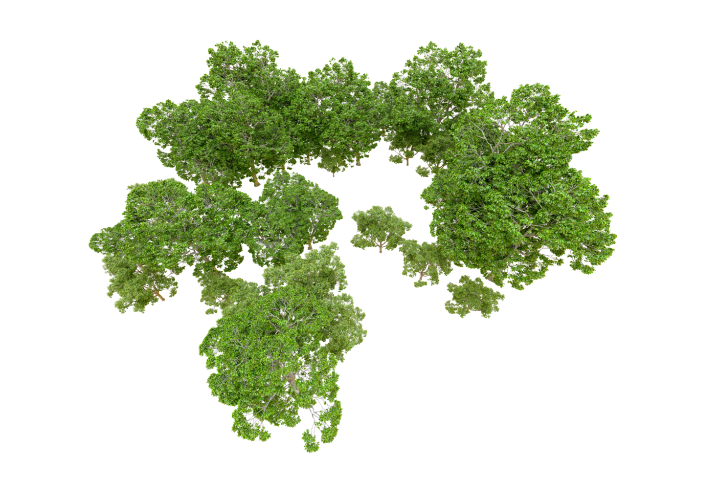 Green forest isolated on background. 3d rendering - illustration png