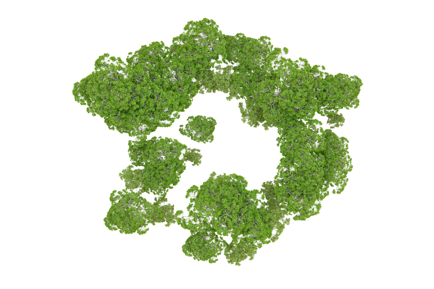 Green forest isolated on background. 3d rendering - illustration png