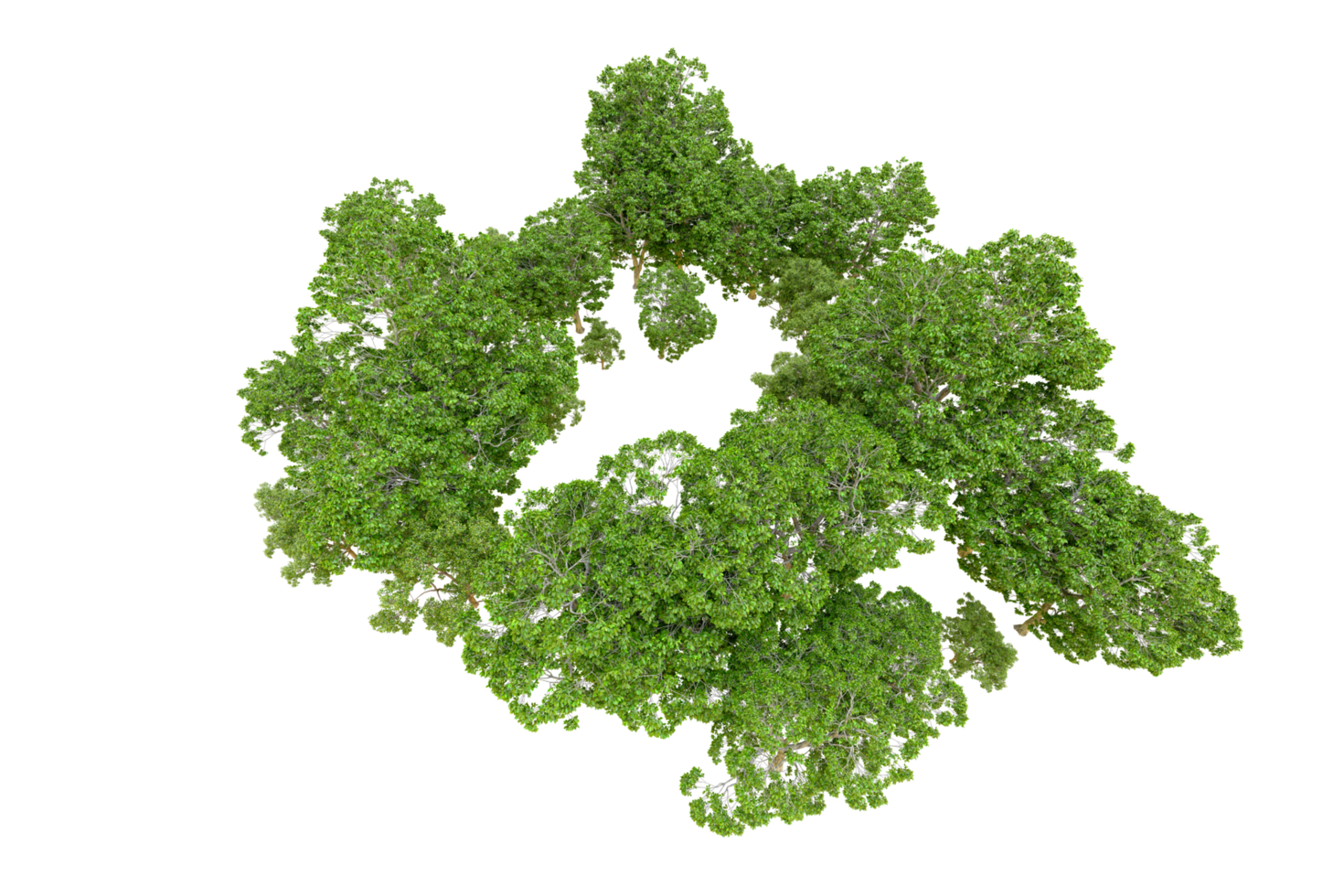 Green forest isolated on background. 3d rendering - illustration png