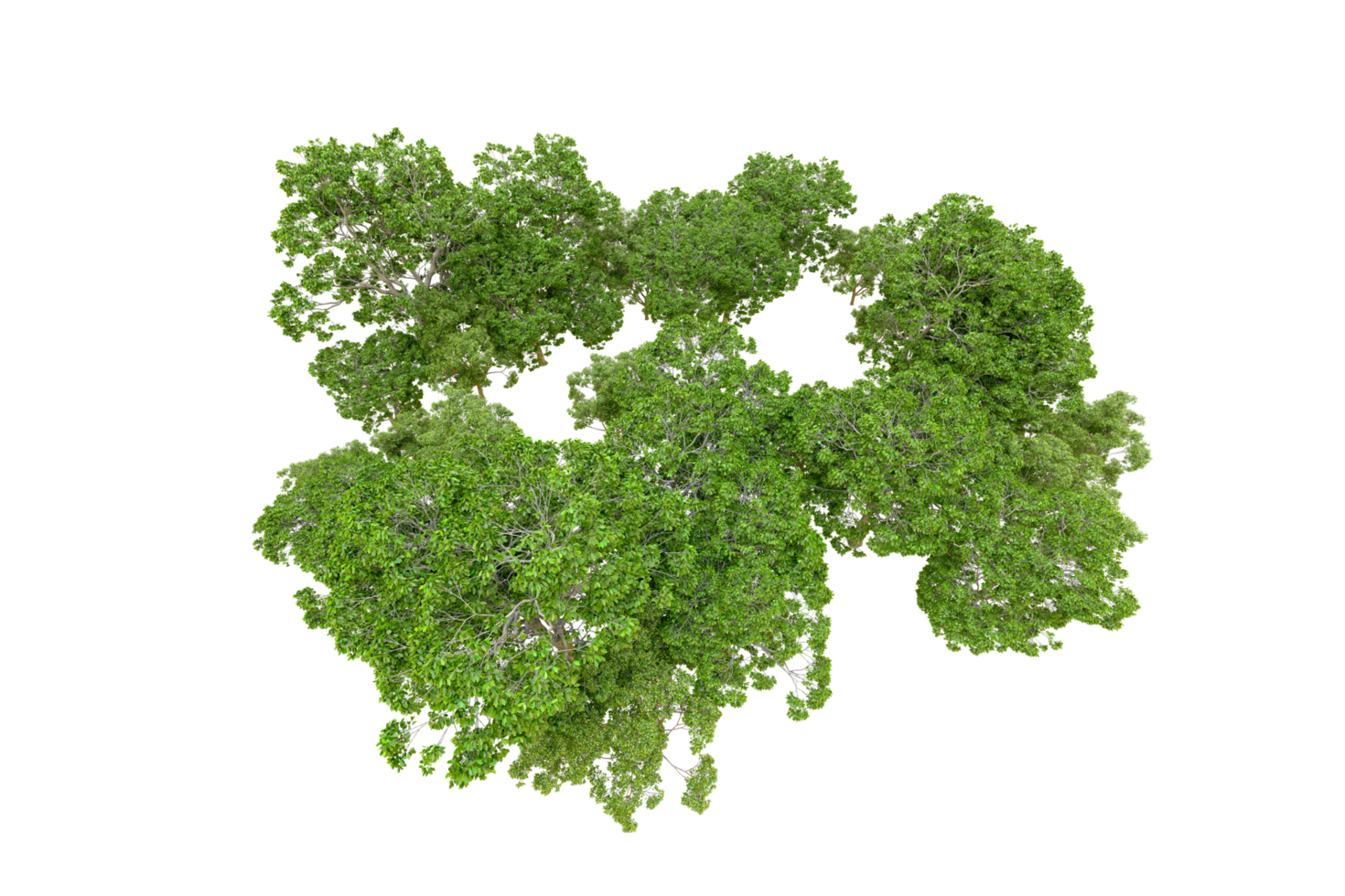 Green forest isolated on background. 3d rendering - illustration png