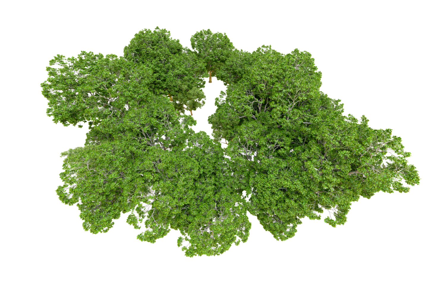 Green forest isolated on background. 3d rendering - illustration png