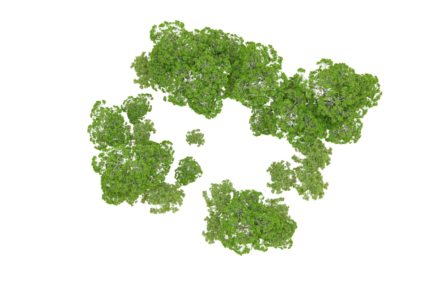 Green forest isolated on background. 3d rendering - illustration png