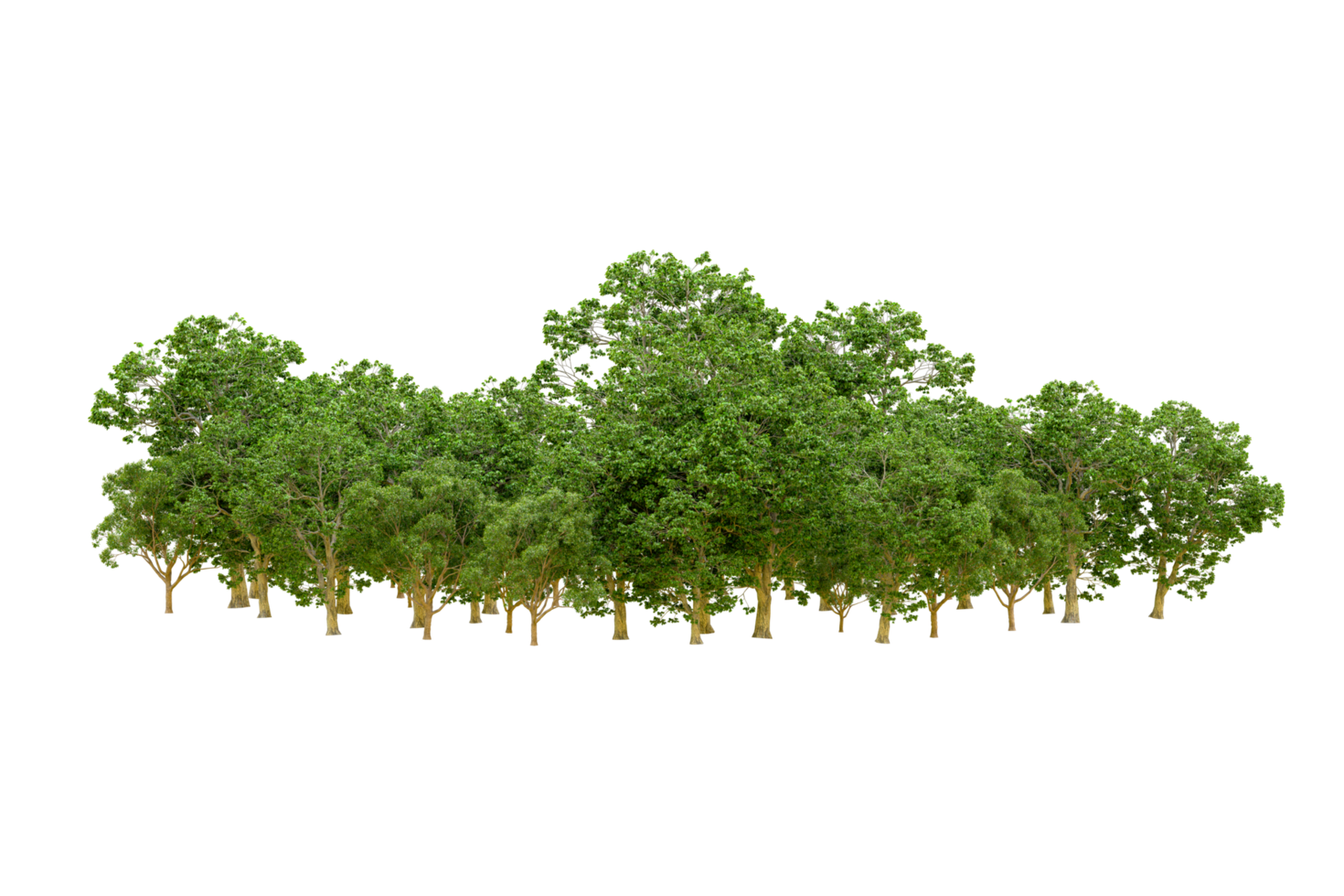Green forest isolated on background. 3d rendering - illustration png