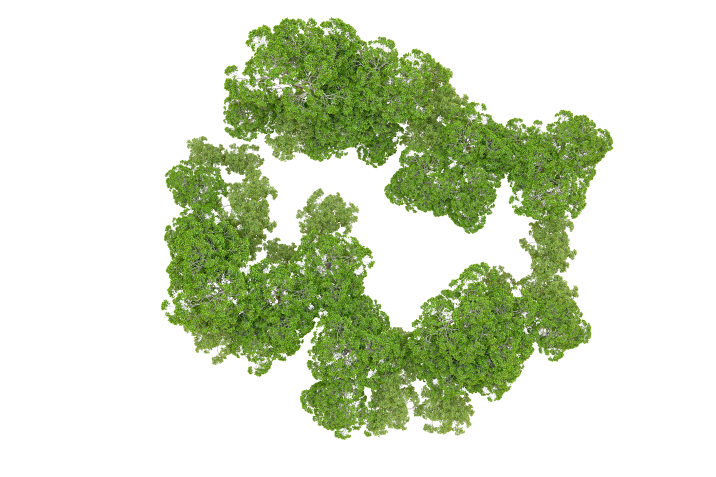 Green forest isolated on background. 3d rendering - illustration png