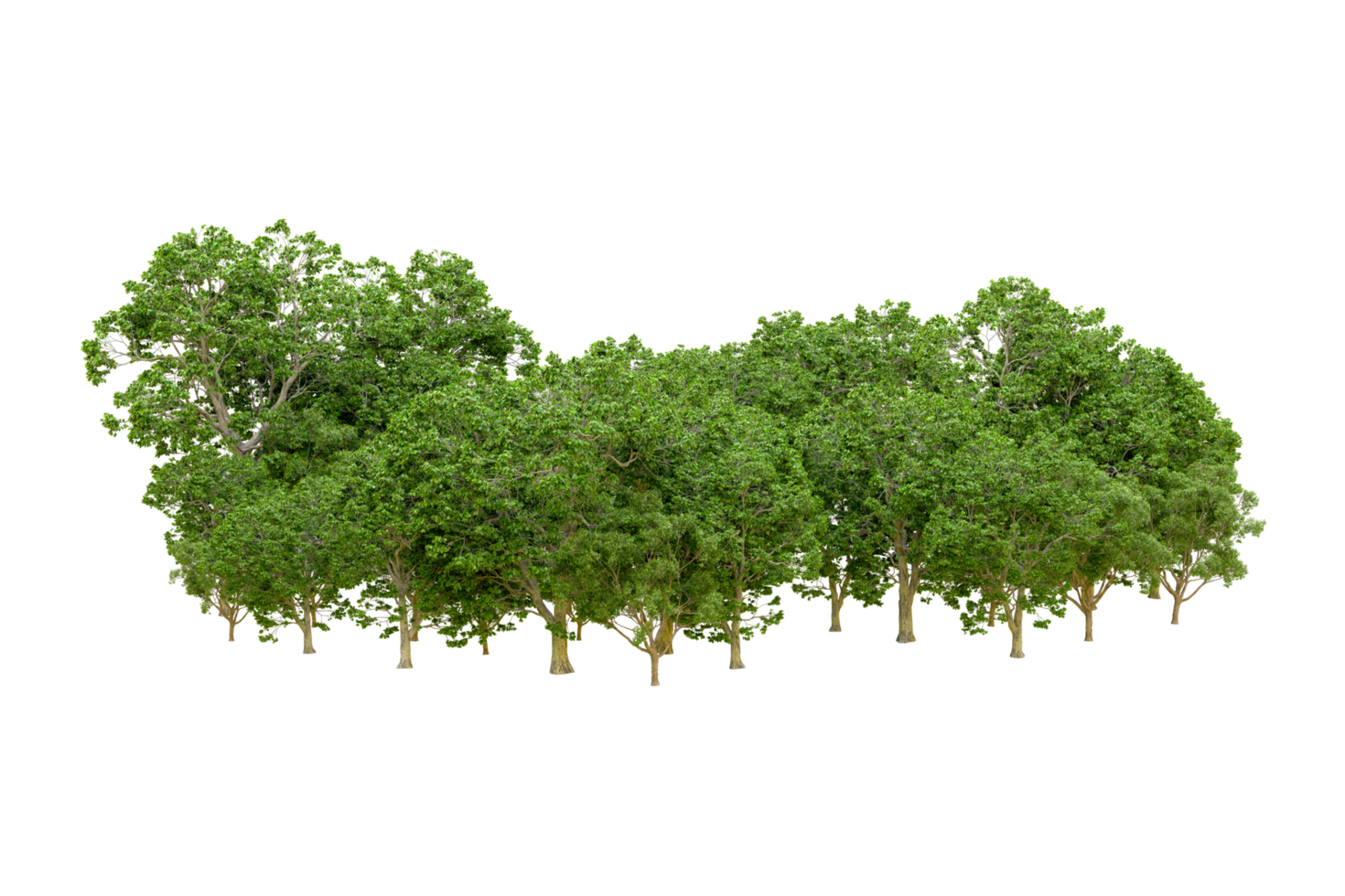 Green forest isolated on background. 3d rendering - illustration png