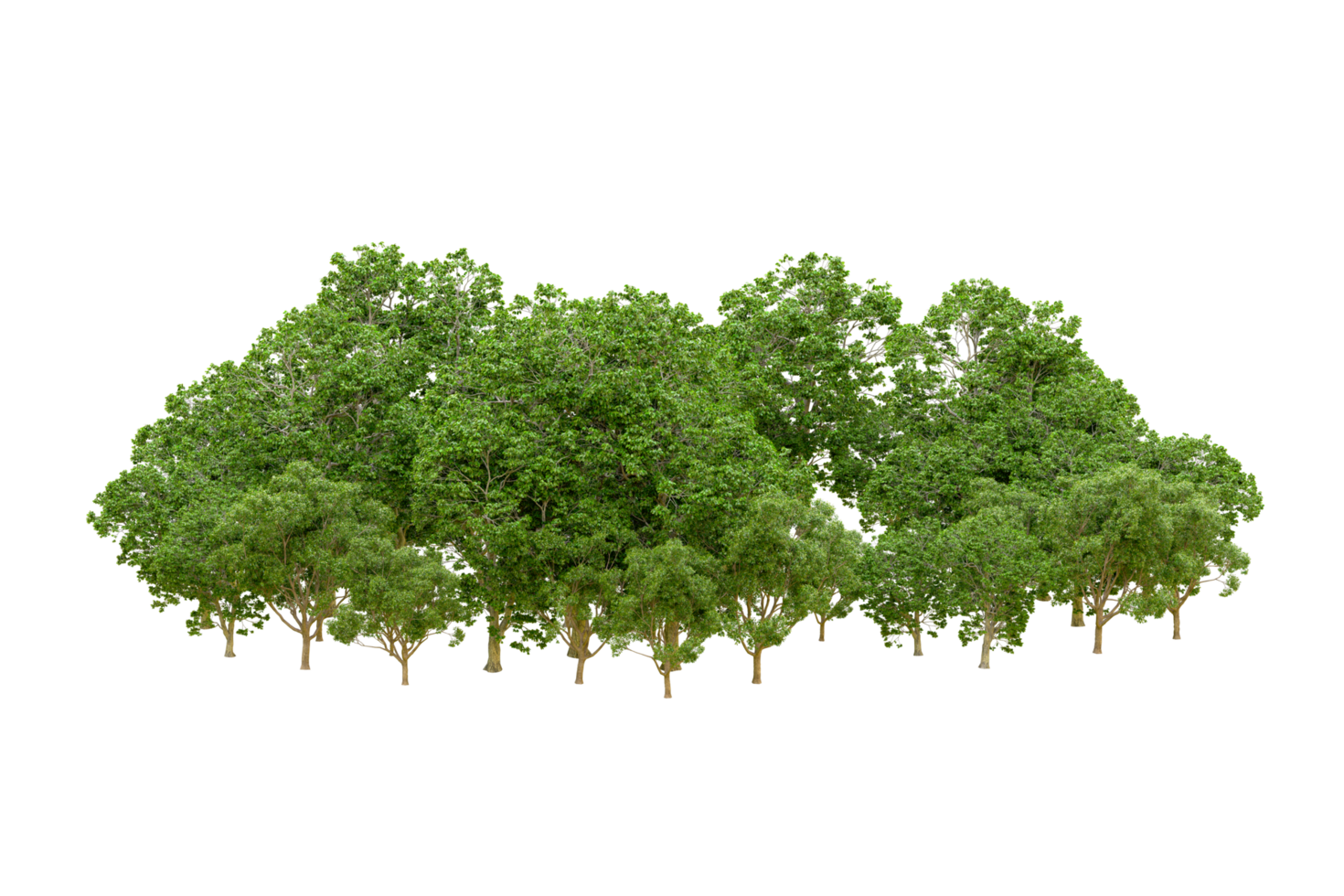 Green forest isolated on background. 3d rendering - illustration png