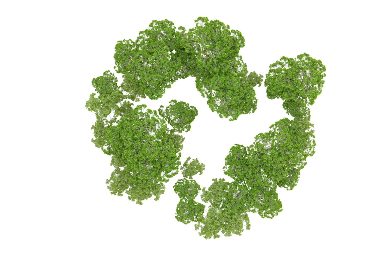 groen Woud geïsoleerd Aan achtergrond. 3d renderen - illustratie png