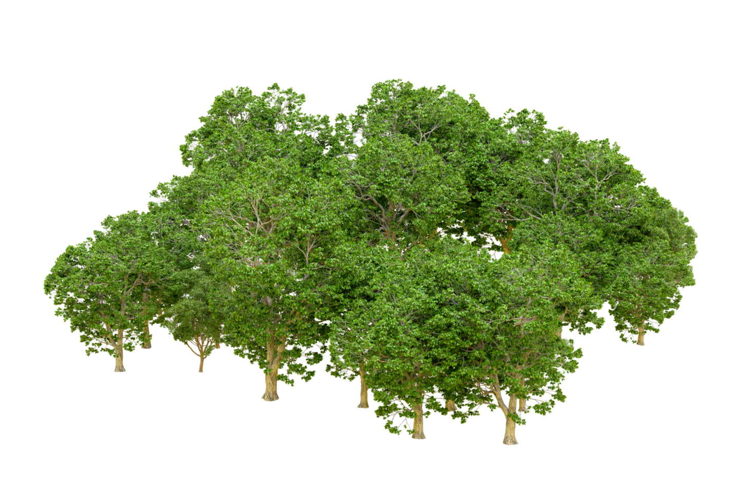 vert forêt isolé sur Contexte. 3d le rendu - illustration png