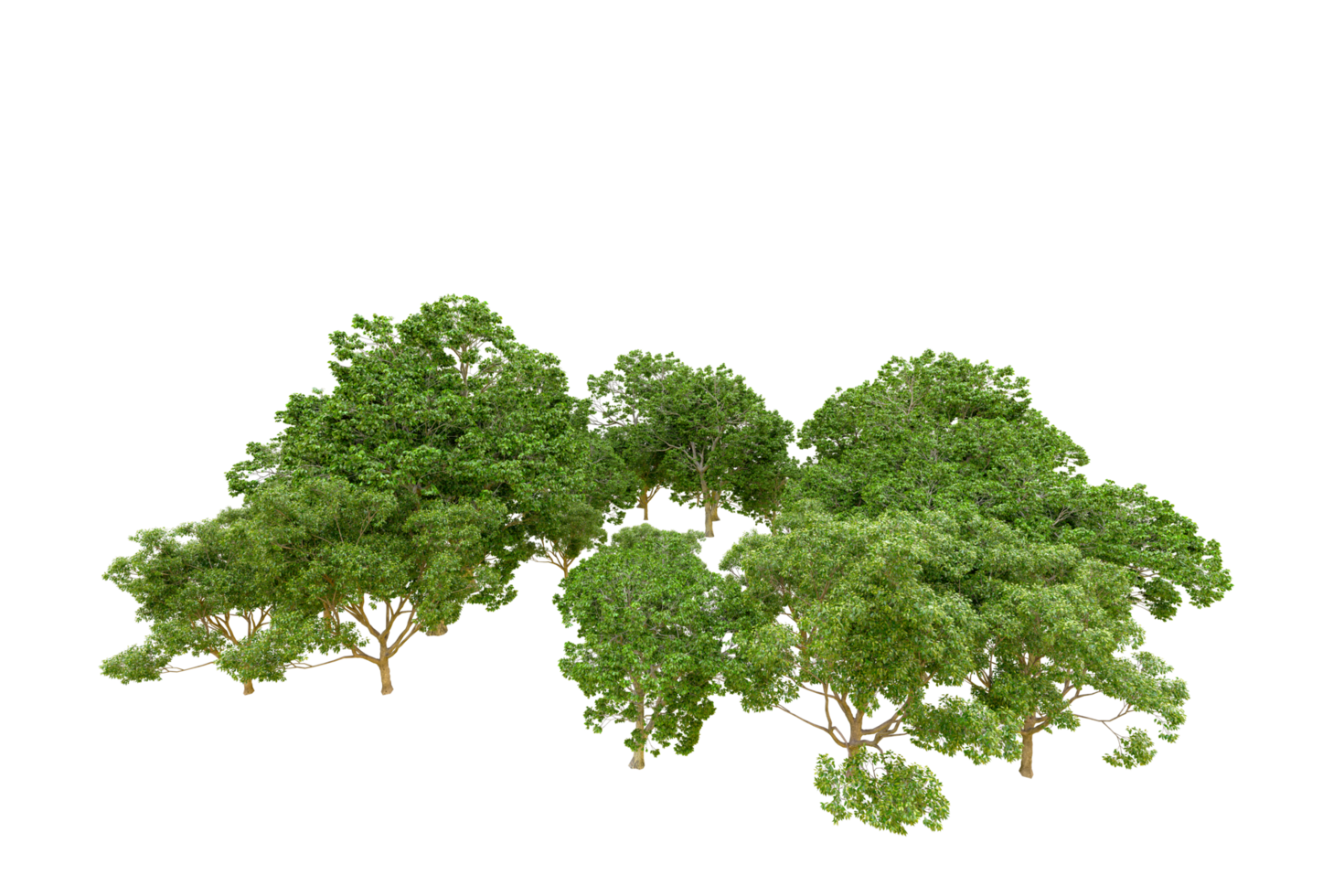 Green forest isolated on background. 3d rendering - illustration png